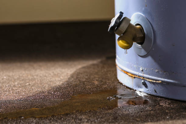 Best Flooded house restoration  in Maryland City, MD
