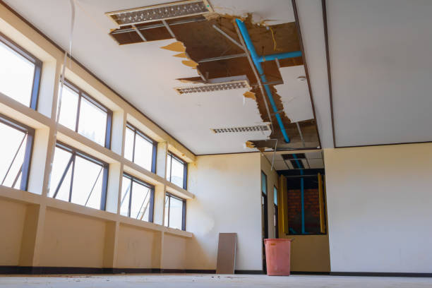 Best Fire Damage Restoration  in Maryland City, MD