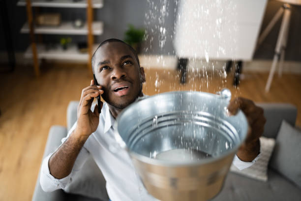 Best Water damage contractors near me  in Maryland City, MD