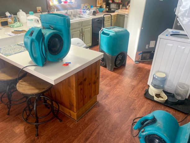 Best Basement water damage restoration  in Maryland City, MD