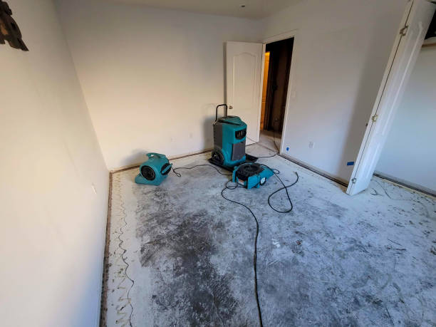 Best Emergency water damage restoration  in Maryland City, MD