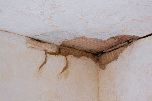 Best Mold removal after water damage  in Maryland City, MD