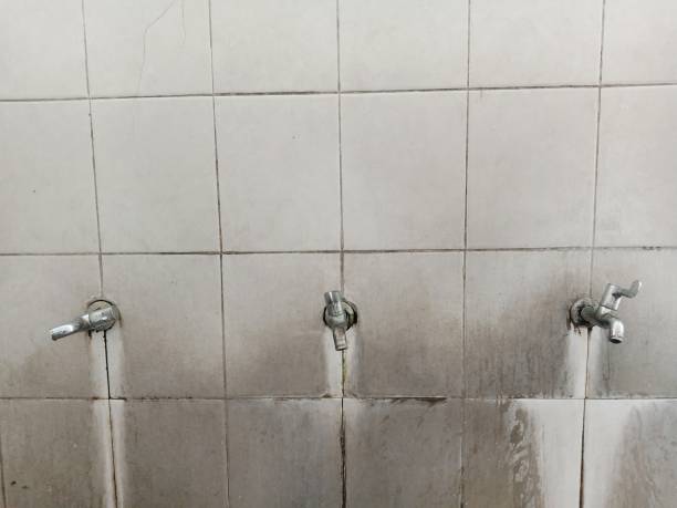 Best Commercial water damage restoration  in Maryland City, MD