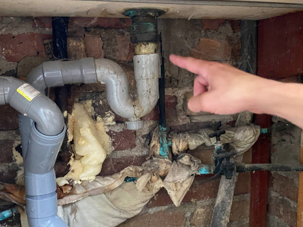 Best 24/7 water damage repair  in Maryland City, MD