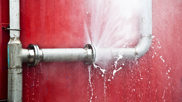 Best Water damage cleanup near me  in Maryland City, MD